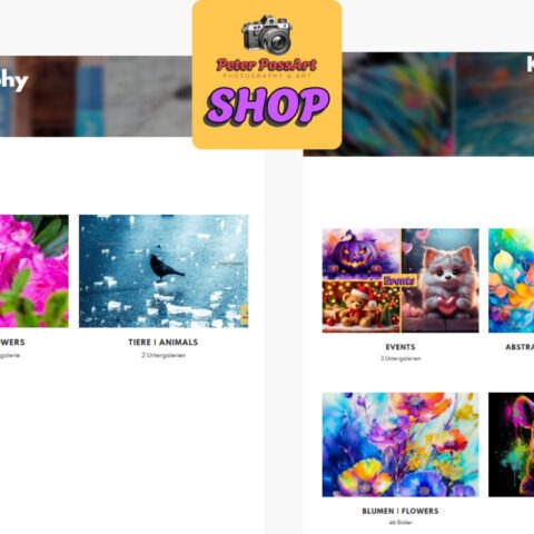 Mein Kunst-Shop